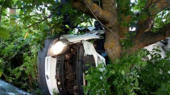 ДТП в Николаевской области: появилась информация о погибших