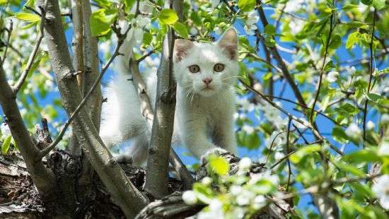 Погода сегодня: умеренно прохладно