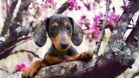 Прогноз погоды на неделю