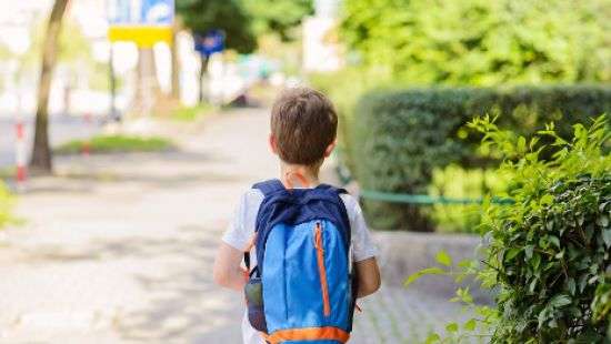 Новый бизнес: родителям в соцсетях за 100 дол предлагают оформить детей в школу