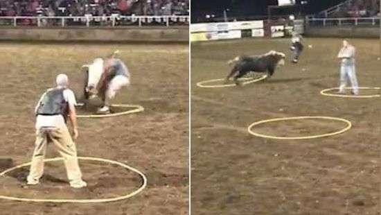 Фрагмент  экстремального родео в США попал на ВИДЕО