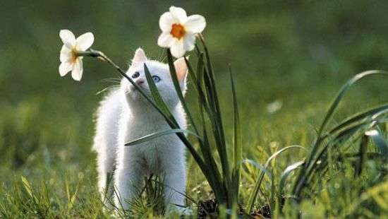 Погода во вторник: в Украину возвращается жара