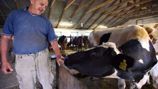 В Раде приняли законопроект о семейных фермах