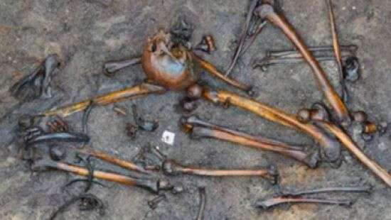 В Дании найдены кости сотни убитых человек