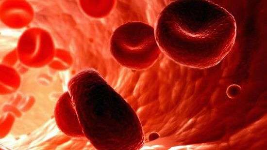 Нехватка железа в организме и как его восстановить