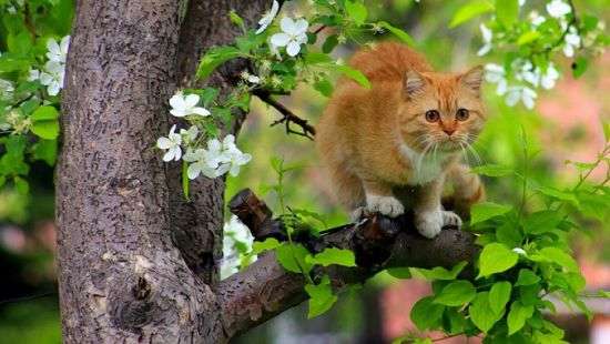 Погода в среду: тепло как летом