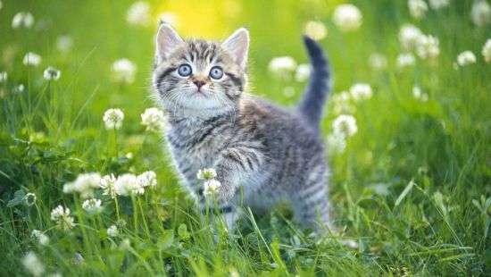 Погода в четверг: синоптики обещают жару