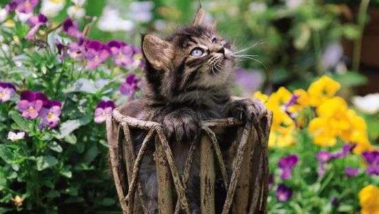 Погода в пятницу: теплый денек на последний звонок