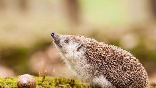 Какая будет погода на выходных, рассказали синоптики