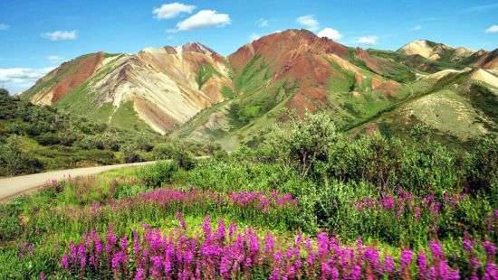 На Аляске туристам запретили справлять нужду