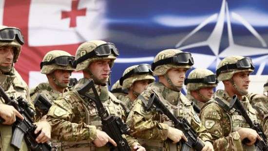 В Грузии назвали сроки вступления в НАТО