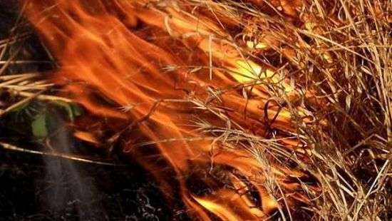 ГСЧС предупредила о чрезвычайной пожарной опасности