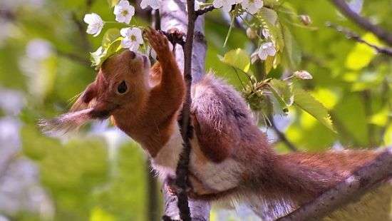 Погода в понедельник: в Украине продолжит теплеть