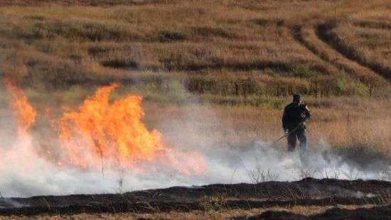 На территории Украины объявлен высший уровень пожарной опасности