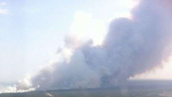 В Херсонской области горит 100 га леса, пожар тушат авиацией (ФОТО)