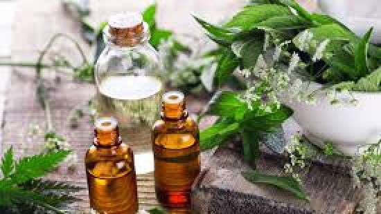 Супрун развеяла очередной миф об особенностях фитотерапии