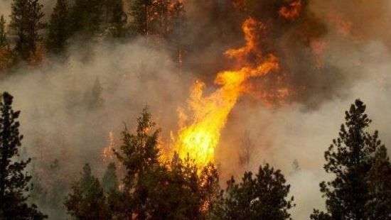 Самая высокая пожарная опасность продержится до начала лета – ГСЧС