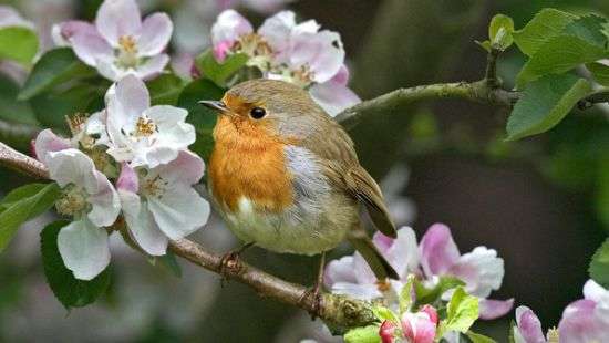 Погода в среду: украинцев порадует теплый день