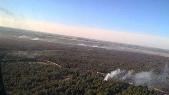 Лесной пожар в Херсонской области охватил 580 га