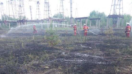 В Чернобыльской зоне горит трава (ФОТО)