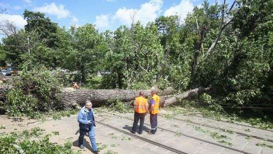 В Москве - разрушительный ураган: эвакуирован зоопарк (ФОТО)