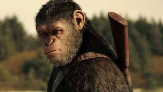 В сети опубликовано ФОТО специфического «боевика ЛНР»