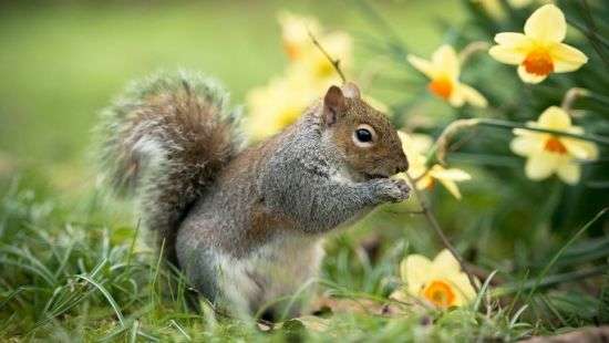 Погода в четверг: в последний день весны будет жарко