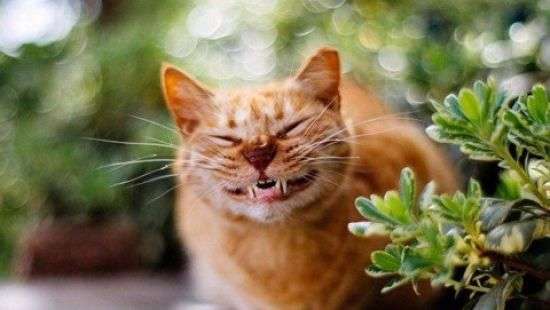 Синоптики рассказали, какая погода будет в июне