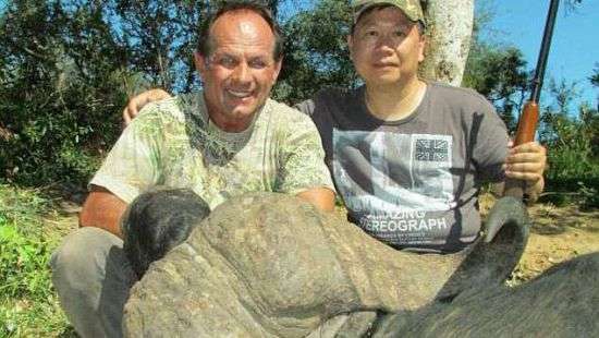 «Око за око»: В Африке буйвол отомстил известному охотнику за убийство сородича