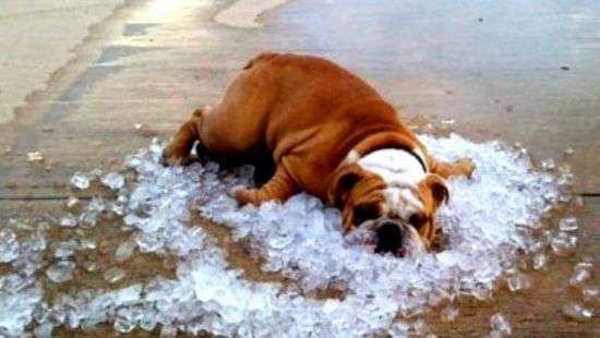 На севере Европы в мае жара побила все рекорды