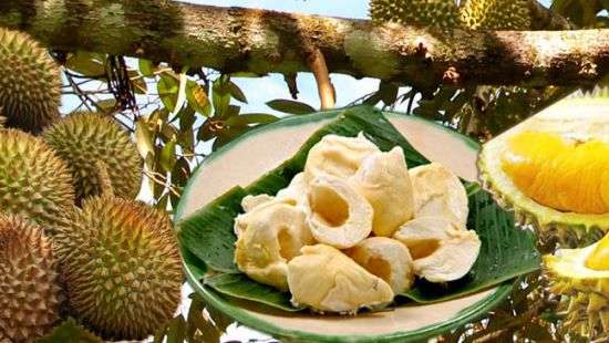 Таиланд отправит в космос самый вонючий фрукт на Земле