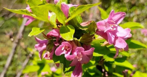 Праздники и приметы 28 мая: что отмечают в Украине и за рубежом Праздники и приметы 28 мая: что отмечают в Украине и за рубежом