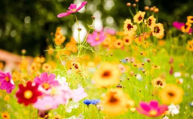 В Украине будет солнечно и тепло