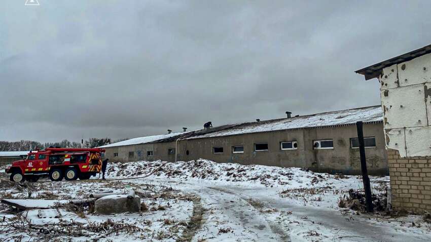 Росіяни атакували ферму у селі Дворічний Кут на Харківщині – поранено чоловіка, загинуло близько 100 свиней