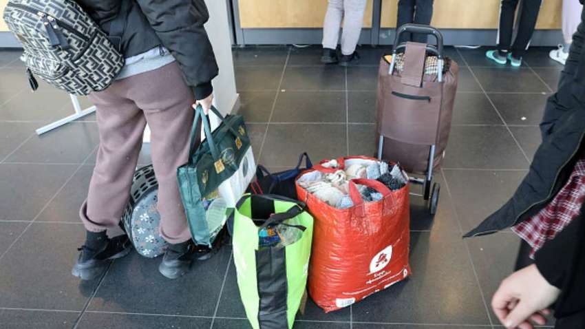 Германия планирует сэкономить на украинских беженцах: что придумали Германия планирует сэкономить на украинских беженцах: что придумали