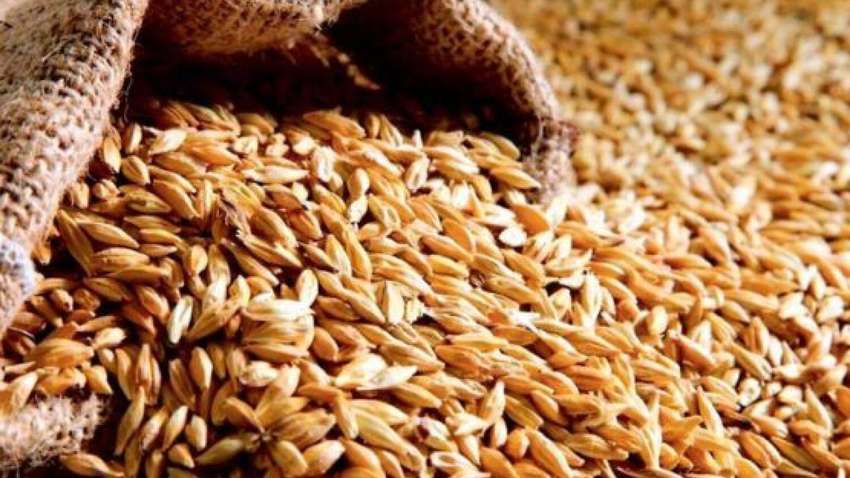 Криза із зерном: лідер Африканського Союзу на зустрічі з Путіним звинуватив Захід 