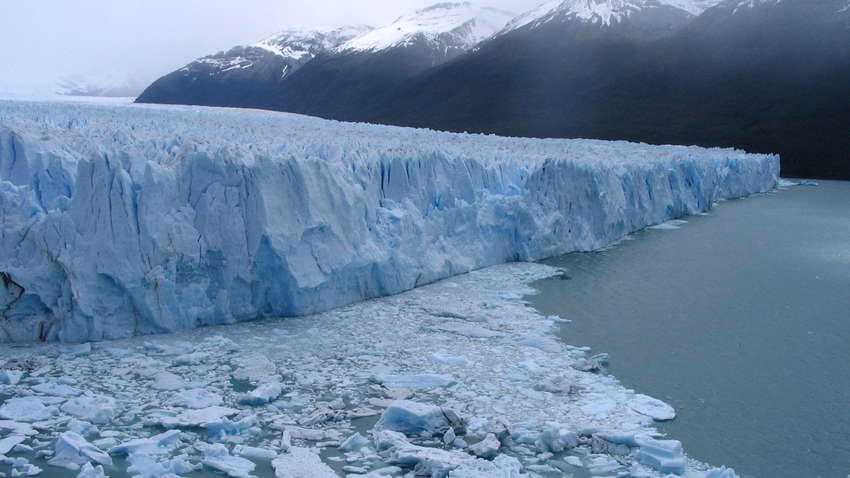 Под ледником Антарктиды обнаружили необычных существ (ФОТО) Под ледником Антарктиды обнаружили необычных существ (ФОТО)