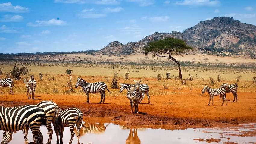 Компания OPay вложила 120 миллионов долларов в цифровое развитие Африки