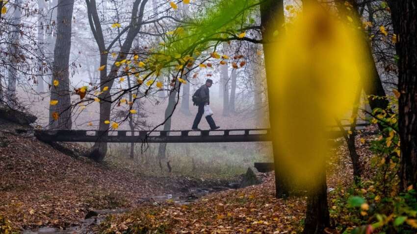Церковный праздник 23 октября: эта главная примета дня предскажет, какой будет зима Церковный праздник 23 октября: эта главная примета дня предскажет, какой будет зима