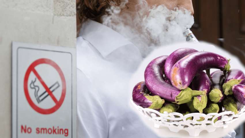 Какие овощи содержат никотин