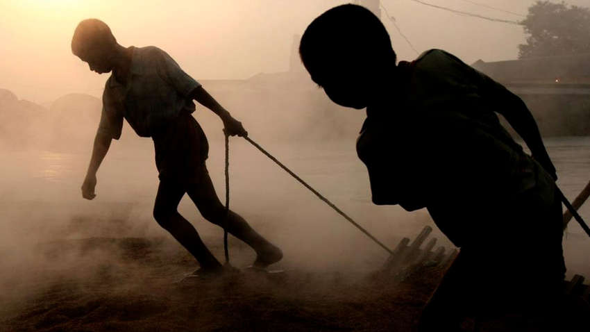 В Запорожской области директор интерната сдавал детей "в аренду" как рабсилу