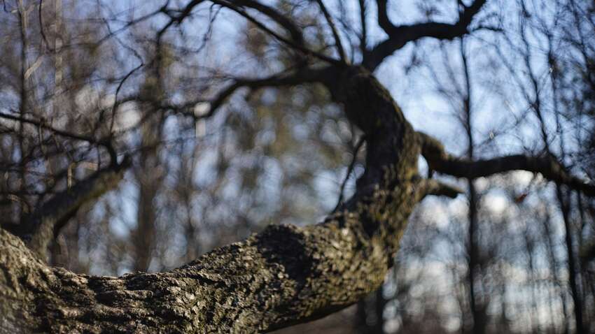  Тепло и засуха: какой будет погода в Украине в марте 2025 года