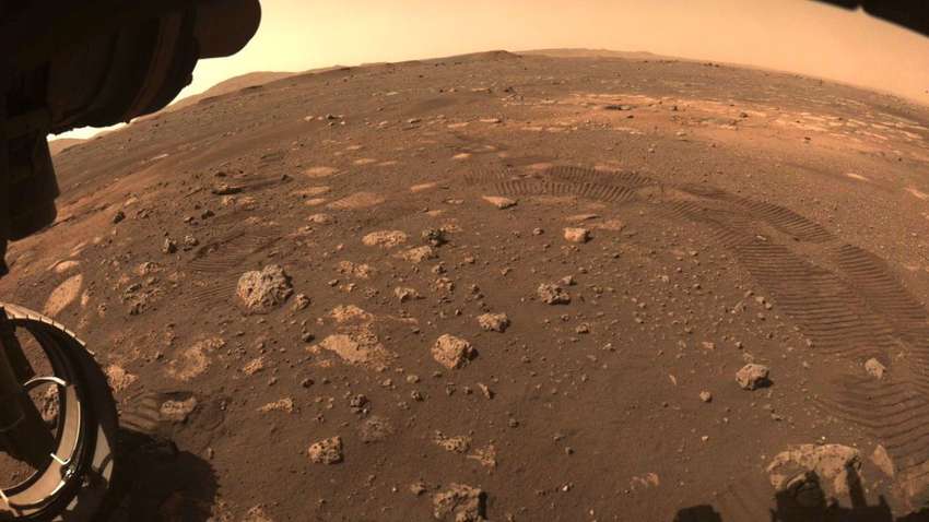 Ученый нашел на Марсе змей и  больших жуков 