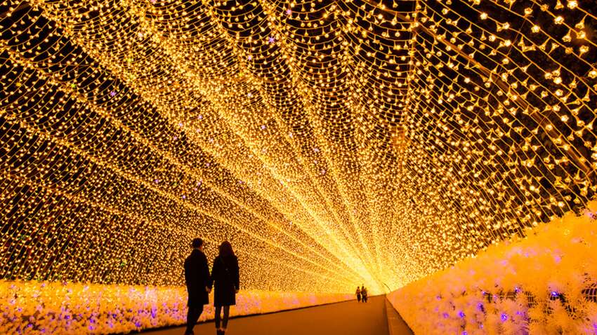 Это можно увидеть только в Японии: что такое фестиваль света Набана-но Сато (ФОТО)