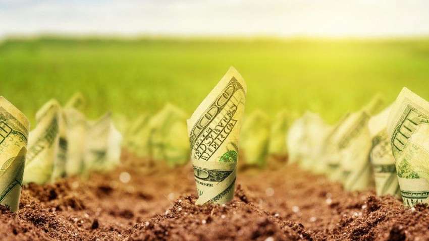 Названы сроки возможного референдума касательно рынка земли