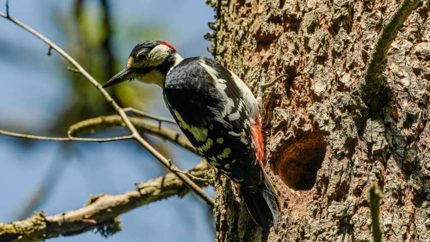 Какой церковный праздник 16 марта: для каких дел удачный сегодняшний день