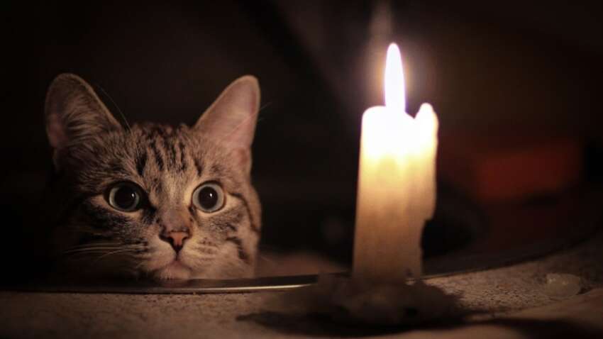 Если зима будет холодной – графики отключений будут еще длиннее – нардеп Если зима будет холодной – графики отключений будут еще длиннее – нардеп