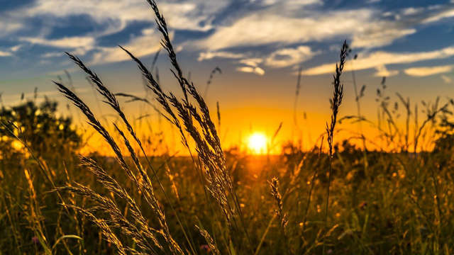 Україну штормитиме температурою: в одній частині областей 10 – в іншій 35