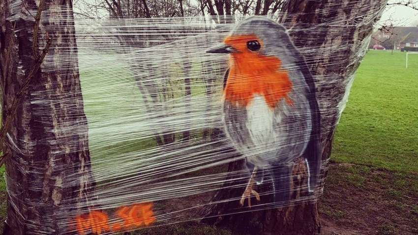 В Великобритании уличный художник рисует на пищевой пленке — удивительные фото