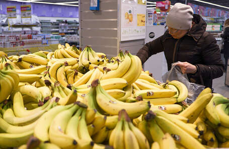 Бананы могут исчезнуть с полок магазинов: в чем причина
